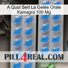 À Quoi Sert La Gelée Orale Kamagra 100 Mg 23